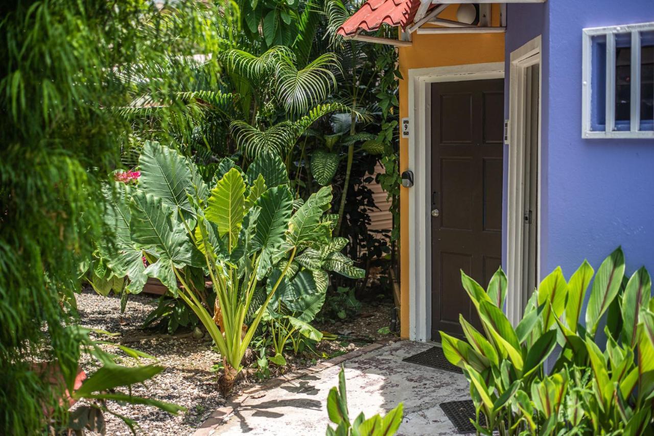 Jaco Lodge Quiet Place (Adults Only) Екстериор снимка